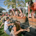 Do-grape-stomping-for-making-wine