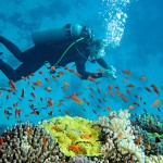 Scuba-Diving
