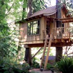 Stay-in-a-tree-house