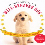Imagine Life Well Behave