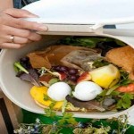 waistage of food
