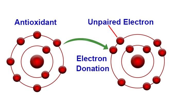 Antioxidants Sources, Benefits, Dietary Supplements, Anti-Aging & FAQs Antioxidants anti aging benefits