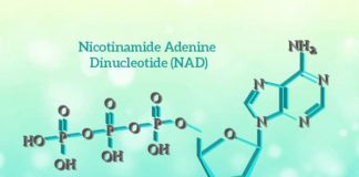 nicotinamide adenine dinucleotide nad sources functions side effects & faqs