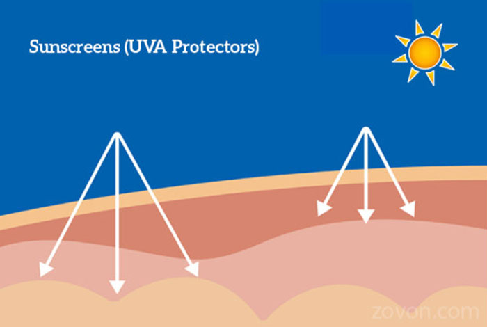 Sunscreens (UVA protectors) Types, Benefits & Side Effects sunscreens uva protectors types benefits & side effects