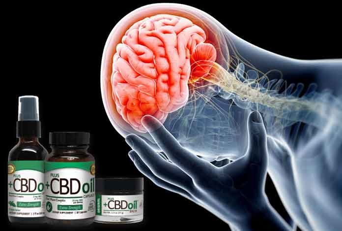 source of CBD-Oil-how-does-CBD-Oil-it-work-on-human-body