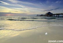 Cocaine washed ashore the Florida Beach