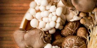 Mushrooms help you stave off aging