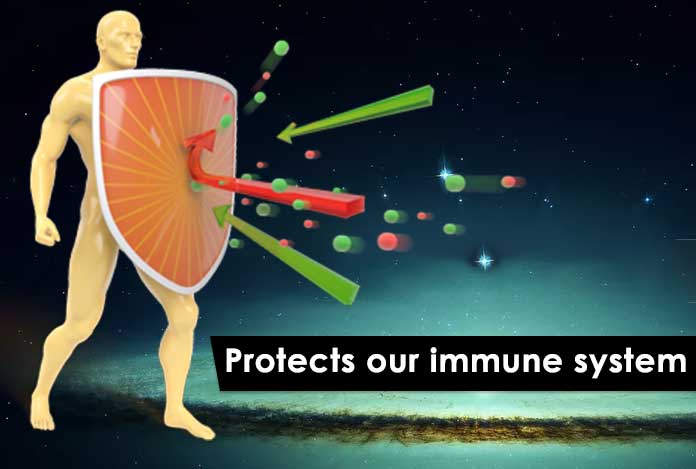 immune system protect the body for detoxification