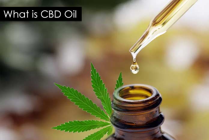 source of What-is-CBD-Oil