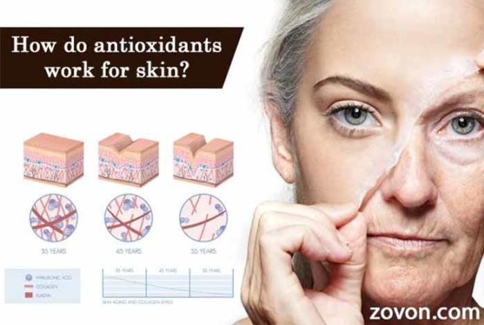 9 how do antioxidants work for skin