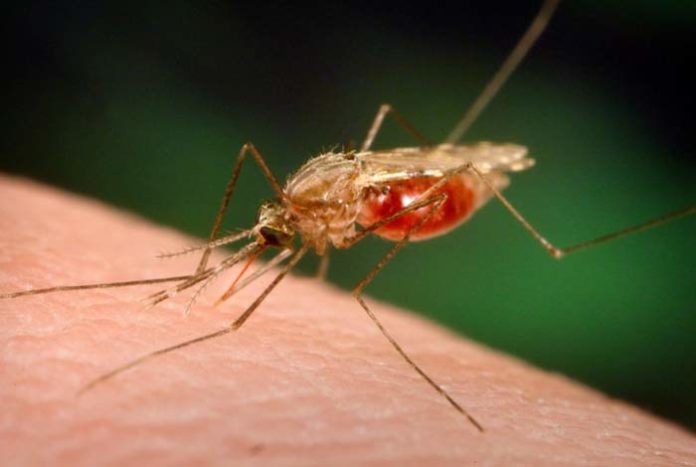 anti malarial drugs got new targets identified by a nih study