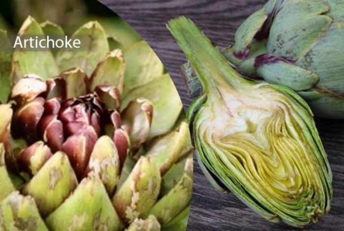 artichoke