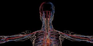 As heart ages, memory weakens as heart ages memory weakens