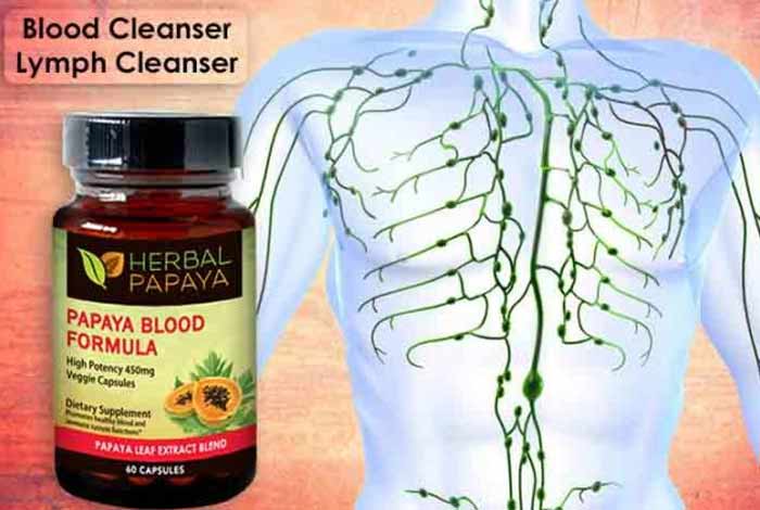 blood cleanser lymph cleanser