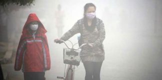 bones too are affected by smog study says