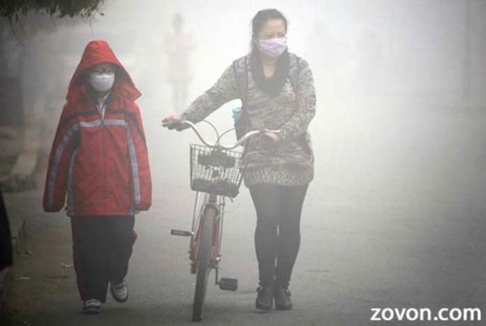 bones too are affected by smog study says