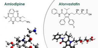 amlodipine & atorvastatin