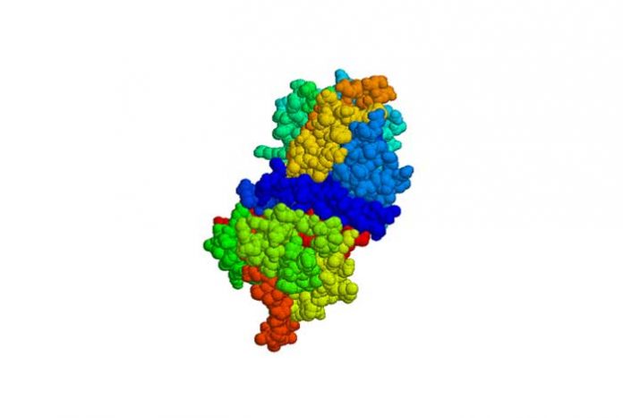 complement C1 esterase inhibitor