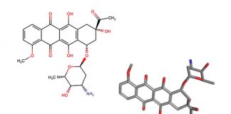 daunorubicin
