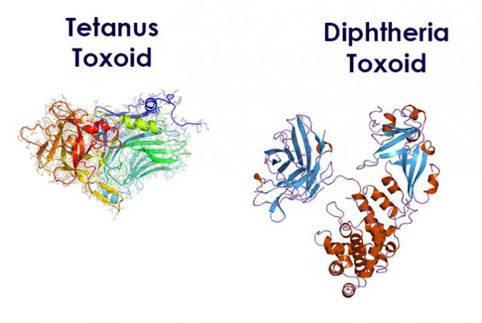 tetanus and diphtheria