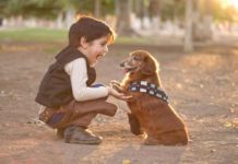 Dogs can lower symptoms of asthma and reduce eczema risk in children dogs can lower symptoms of asthma and reduce eczema risk in children