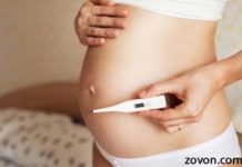 Fever during early pregnancy may lead to facial and heart birth defects fever during early pregnancy may lead to facial and heart birth defects