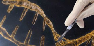 Gene Editing could help fight against various deadly diseases gene editing could help fight against various deadly diseases