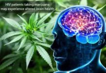 HIV patients taking marijuana may experience altered brain health hiv patients taking marijuana may experience altered brain health