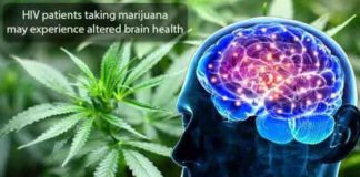 hiv patients taking marijuana may experience altered brain health