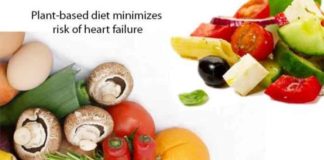 Plant-based diet minimizes risk of heart failure plant based diet minimizes risk of heart failure