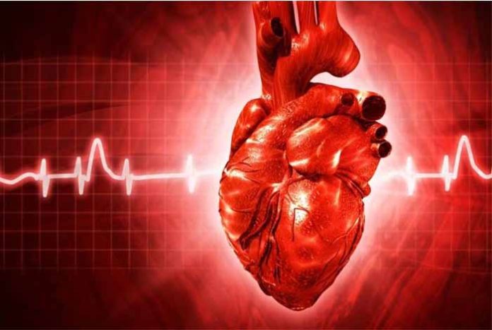 researchers say heart surgery turns out to be safer in the afternoon