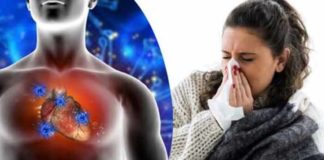 Respiratory infection intensifies risk of heart attack, new study finds respiratory infection intensifies risk of heart attack new study finds