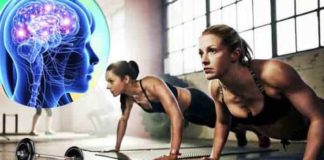 Rigorous workouts could help boost memory rigorous workouts could help boost memory