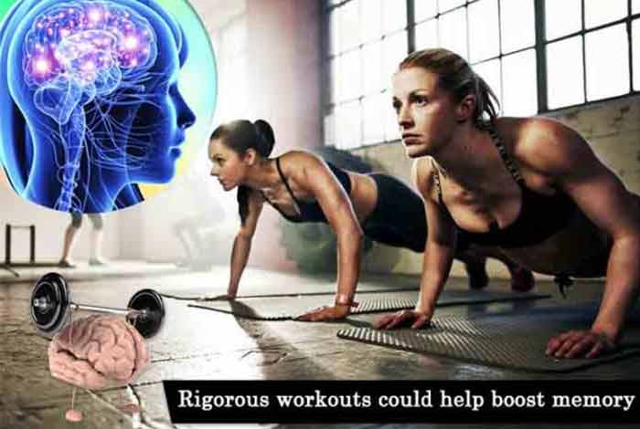 Rigorous workouts could help boost memory rigorous workouts could help boost memory
