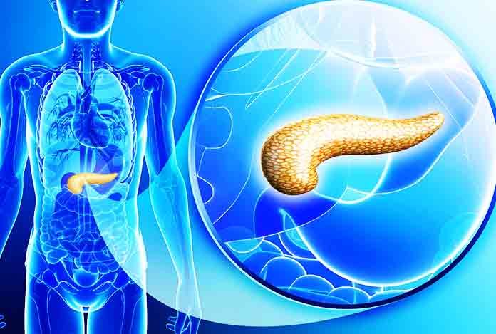 Pancreatic Cancer Overview and statistical facts