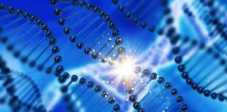 27 new genes discovered that could halt cancel