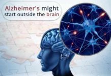 Alzheimer’s disease might start outside the brain alzheimers disease might start outside the brain