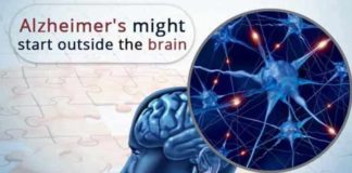 alzheimers disease might start outside the brain