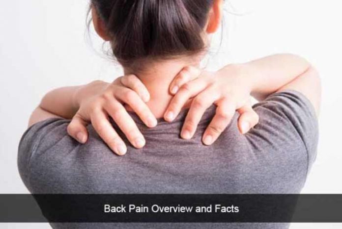 back pain causes types symptoms prevention and treatment