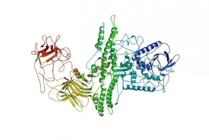 onabotulinumtoxinA