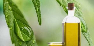 cbd hemp oil benefits for acne anxiety pain inflammation