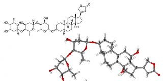digoxin