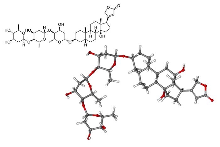 digoxin
