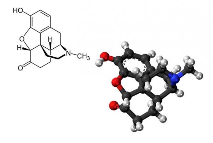 hydromorphone