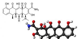 doxycycline