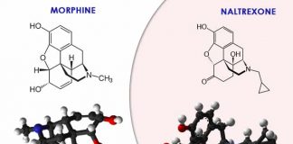 morphine and naltrexone