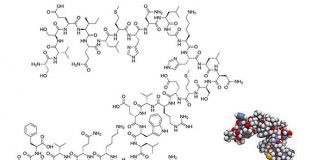 teriparatide