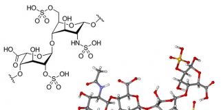 dalteparin