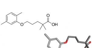 gemfibrozil