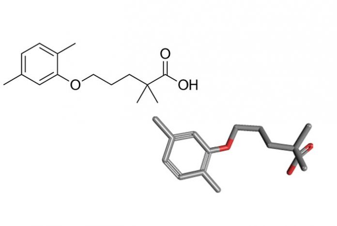 gemfibrozil